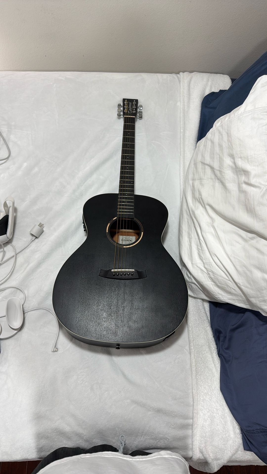 Acoustic Guitar Blackbird