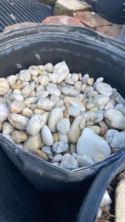 Piedra 2 por $5