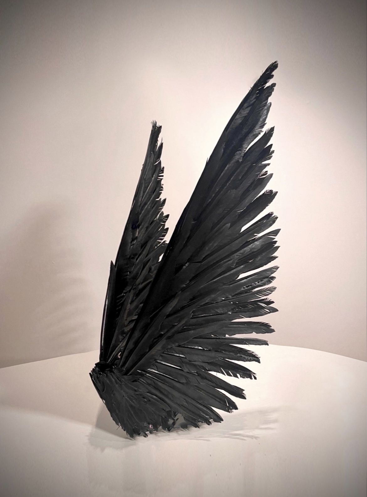 Black Angel Wings (as Seen On Saltburn)