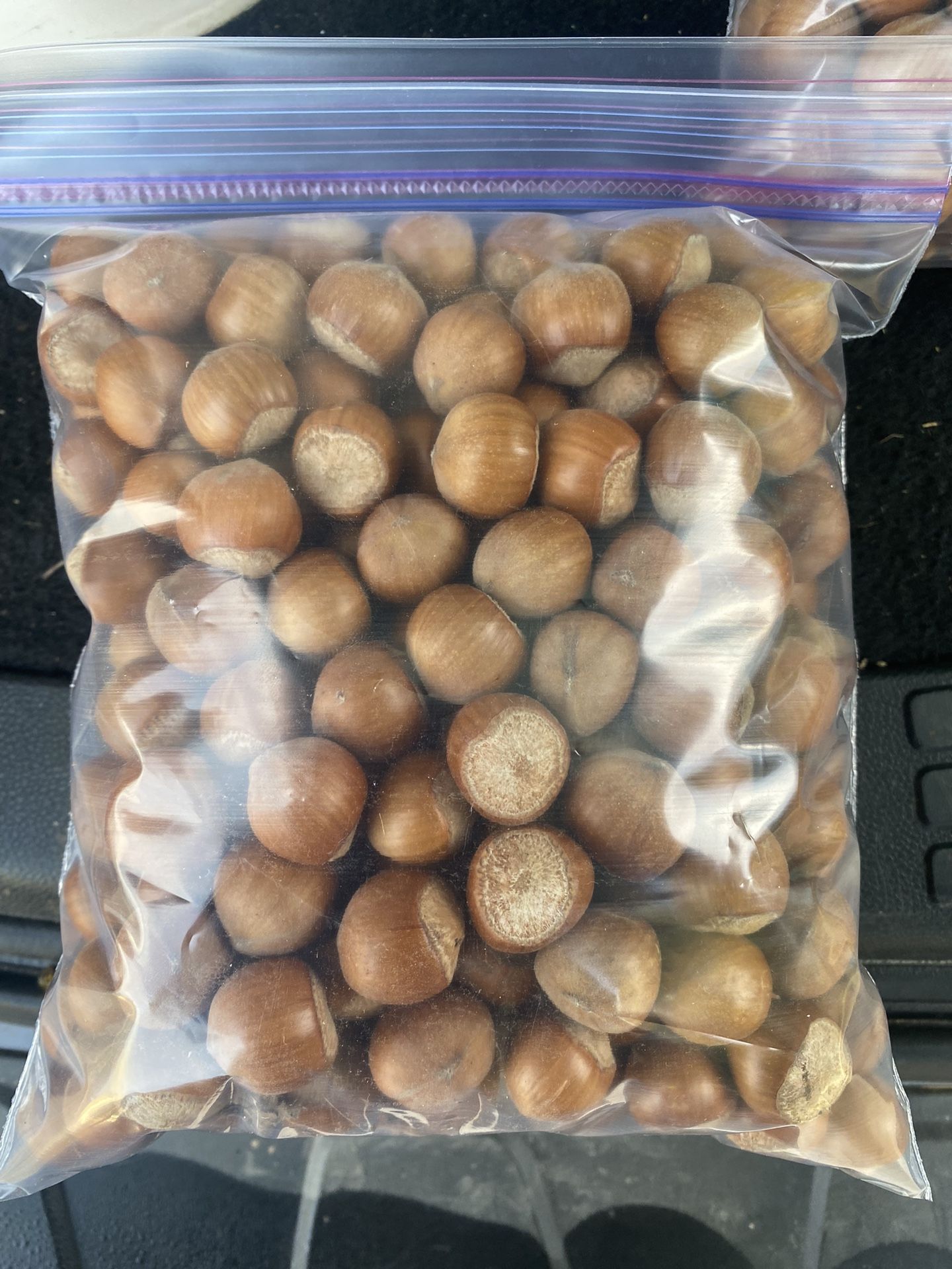 2023 Farm Fresh Hazelnuts for Sale in Hillsboro, OR OfferUp