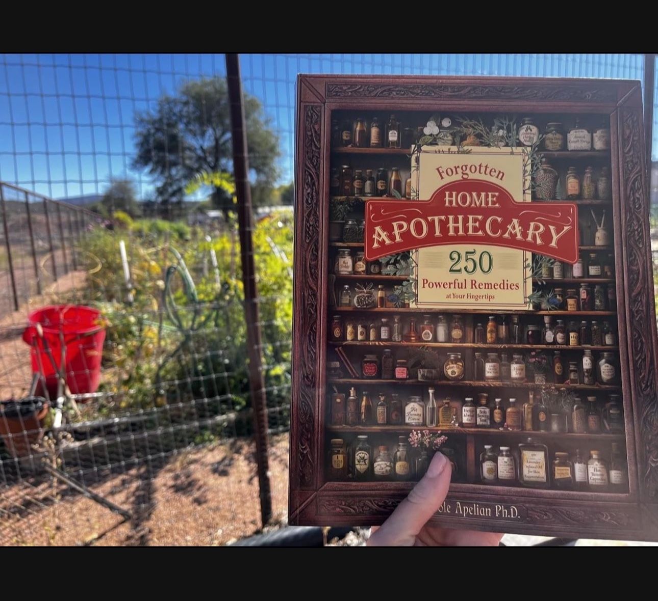 Forgotten Home Apothecary Book
