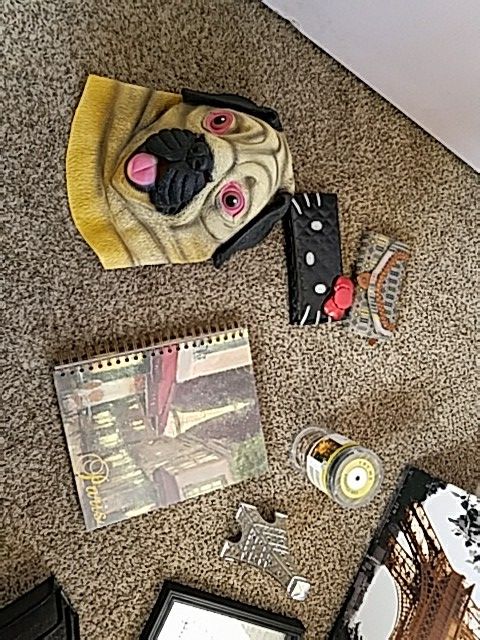 Paris theme, dog mask, adult coloring books metal letter holder, wallets