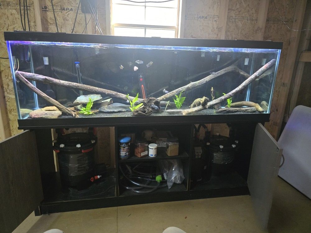 125 Gallon Aquarium With Stand, Top And Filters