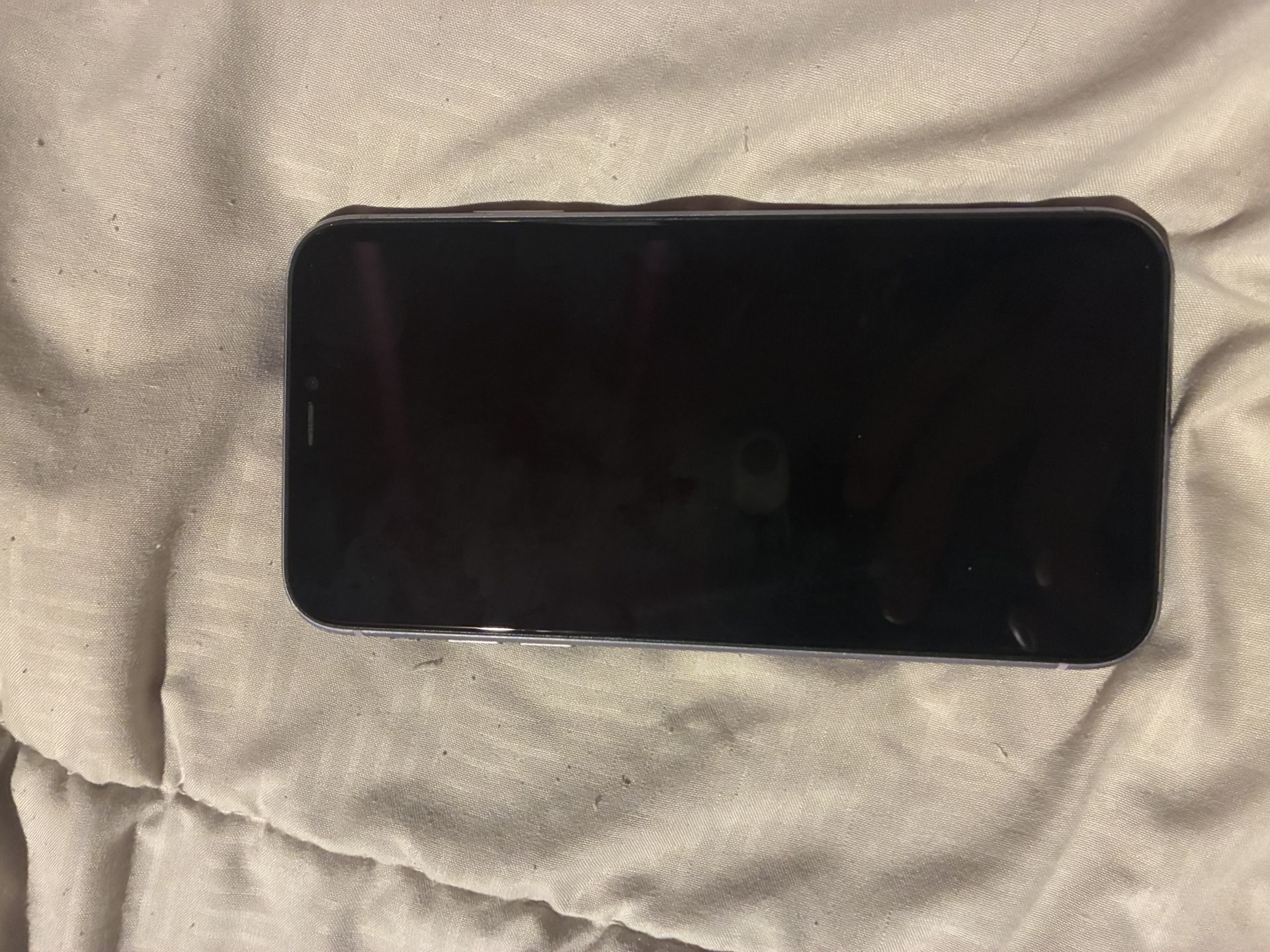 iPhone 11 Purple