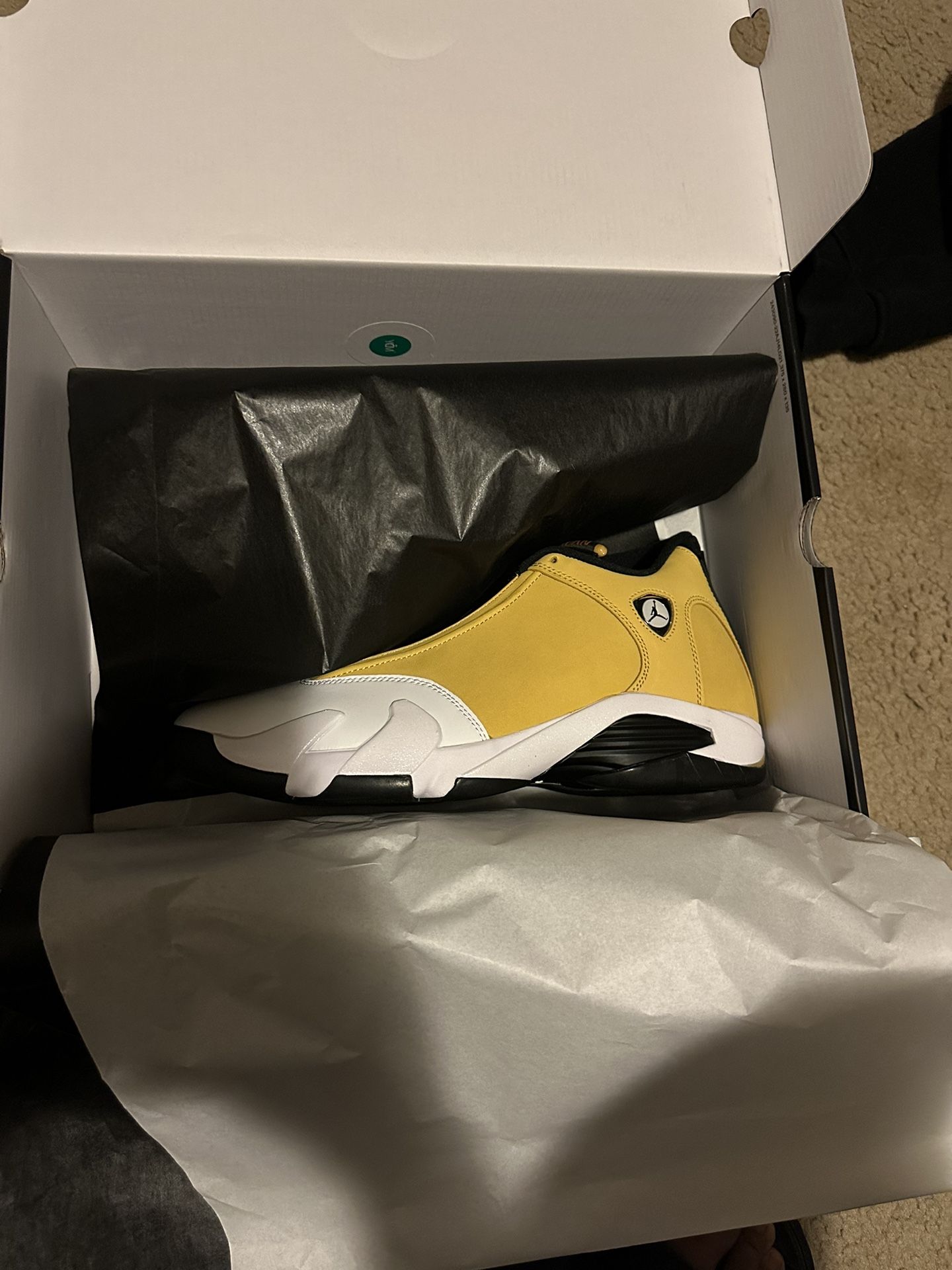 Ginger Jordan 14s