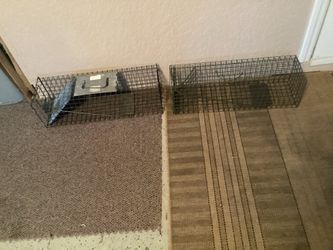 Two cages