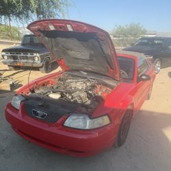 2000 Ford Mustang