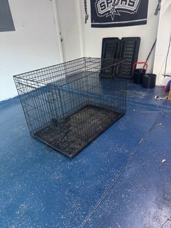 xl dog crate