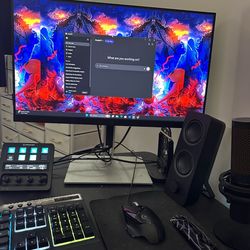 24” HP computer monitor