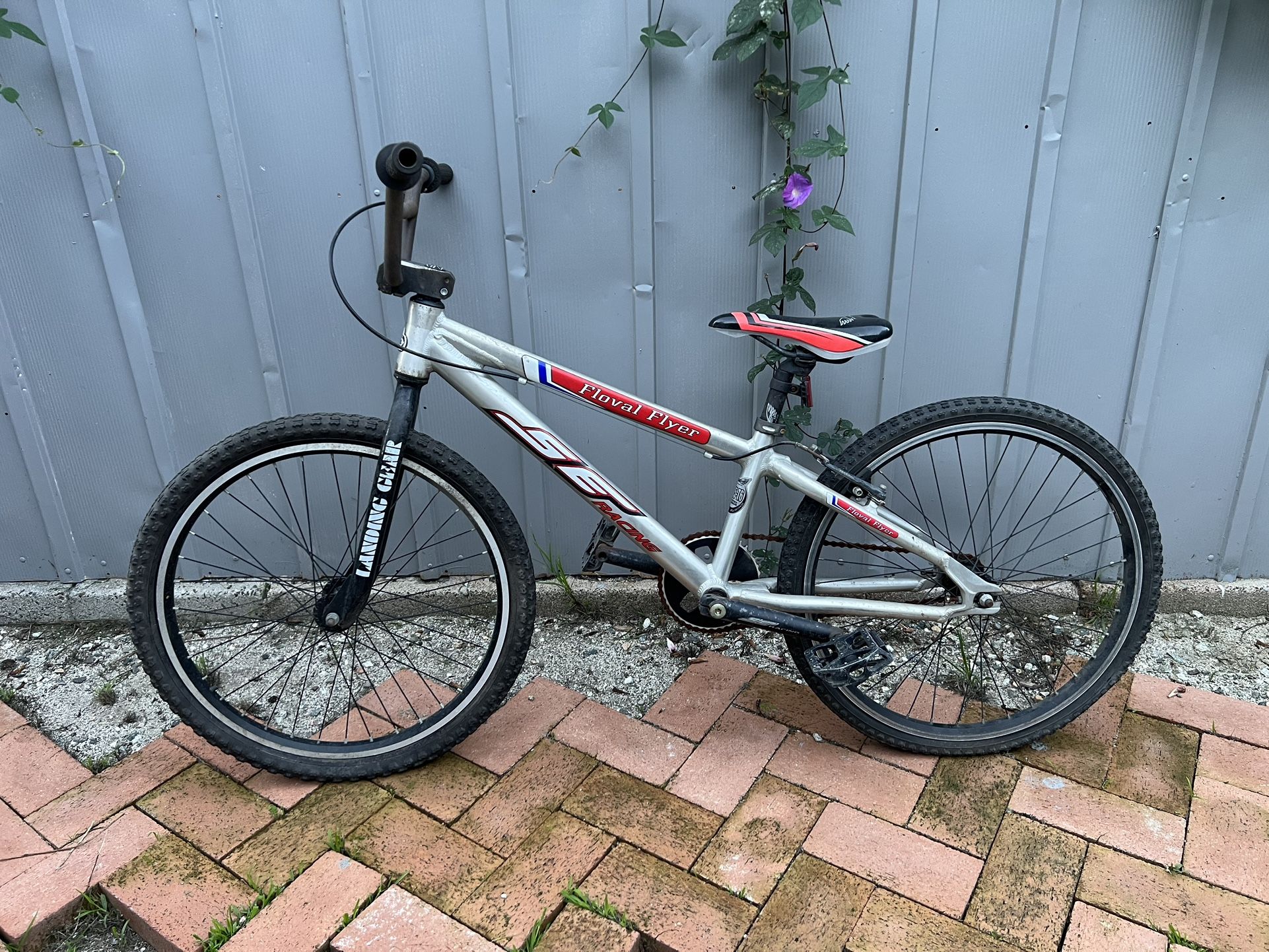 SE Racing 24” Floval Flyer