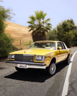 1979 Buick Regal