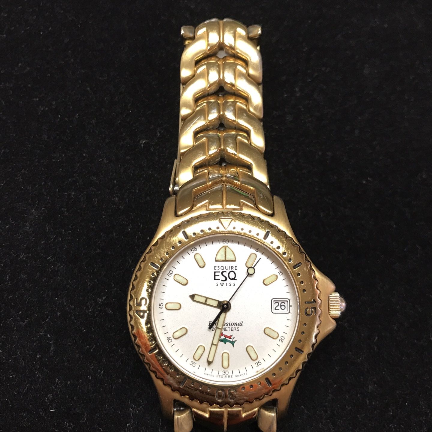 Used Men’s ESQ Esquire Swiss Professional Wrist Watch Wristwatch 200 Meters