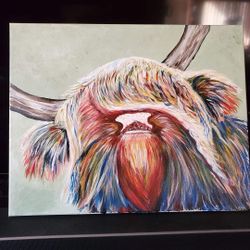 HIGHLAND COW
