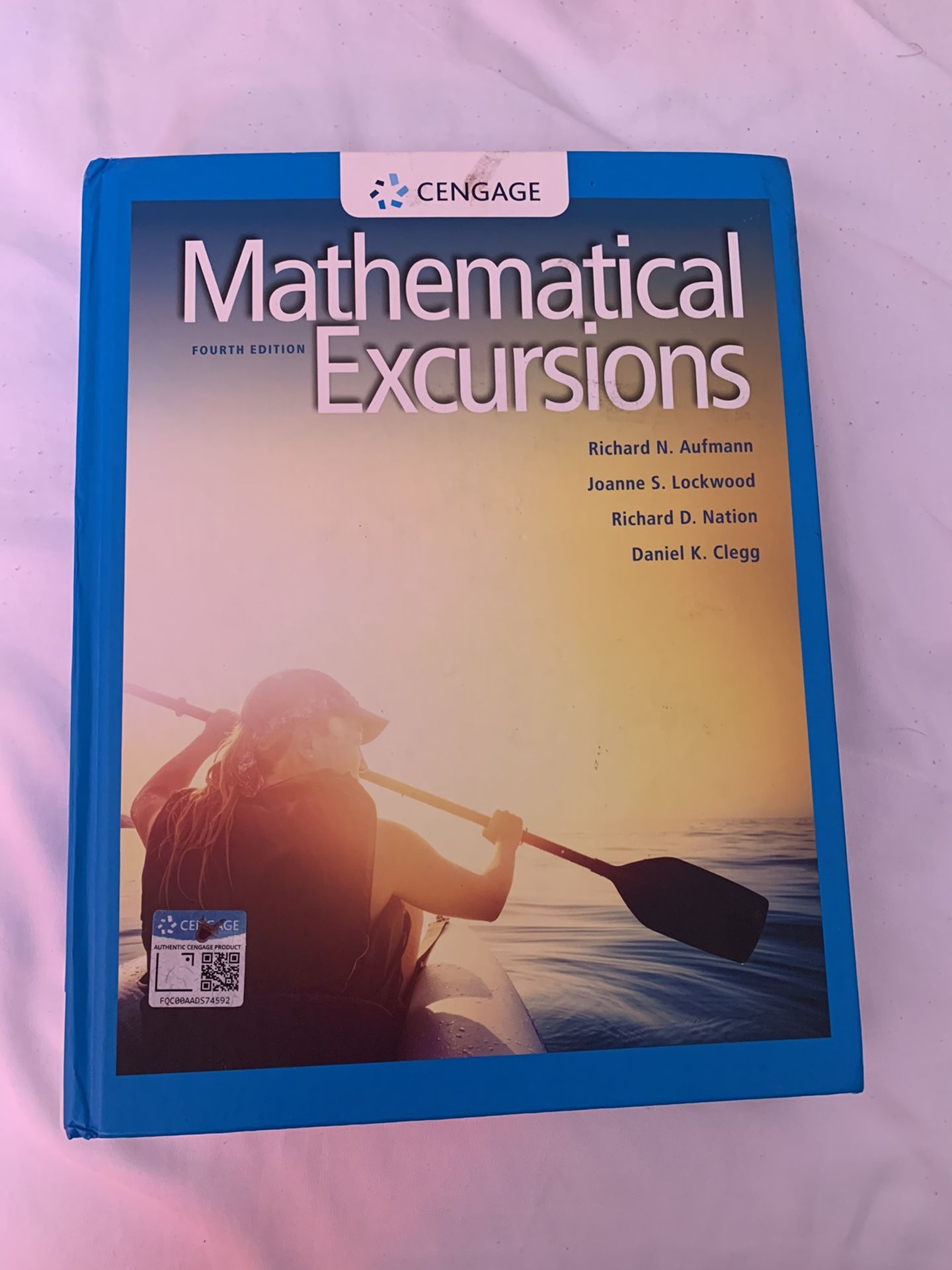Mathematical excursions