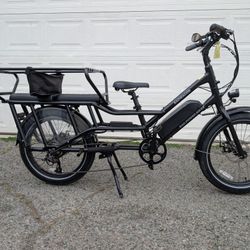 RadWagon 4 Electric Cargo Bike – Family-Ready!