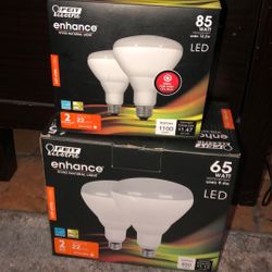 Light bulbs
