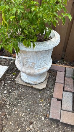 Pedestal planter/mazeta para sembrar de cemento