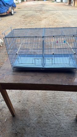 Bird cage