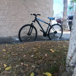 Specialized Bike 