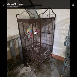 Large Bird Cages
