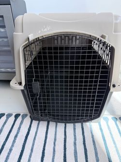 Top Paw 40” Large Hard-Sided Dog Crate / Travel Kennel