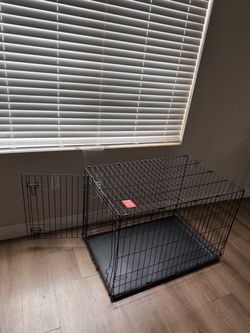 kennel