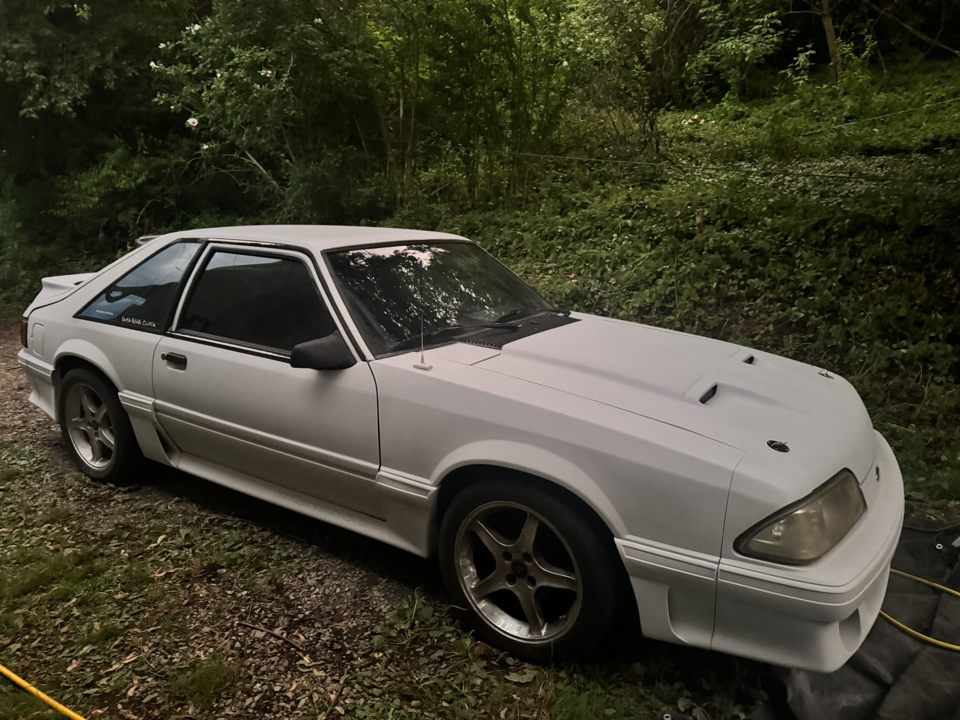 91 Foxbody 5.0 Mustang
