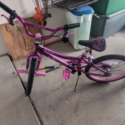20 Inch Girls Bike 