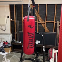 Everlasting Punching Bad With stand 