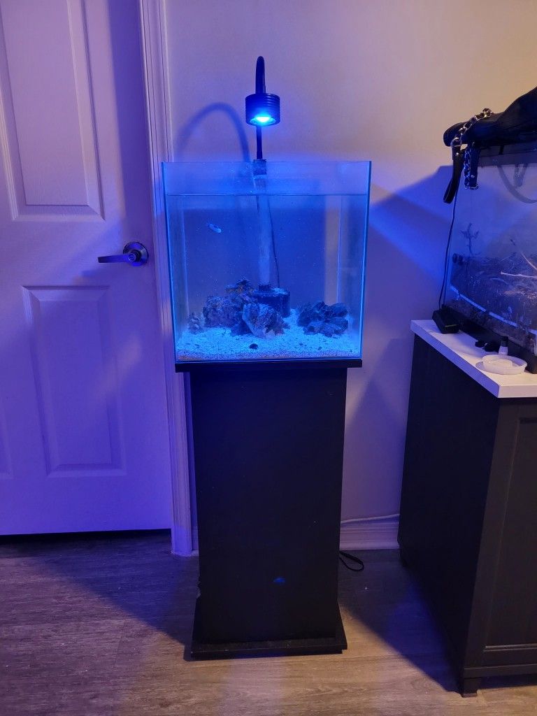 2 15 Gallon Aquariums