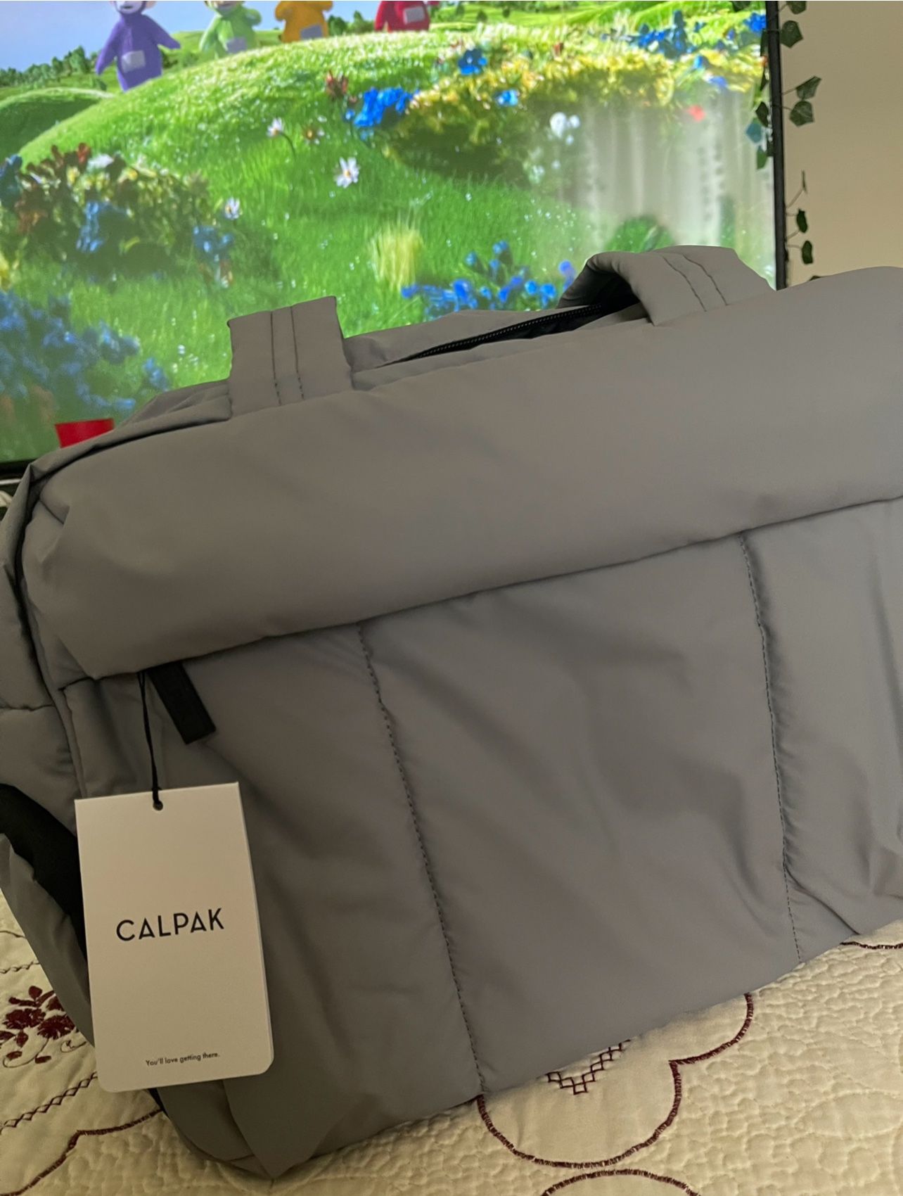 Gray/silver/Iron CALPAK DUFFEL BAG