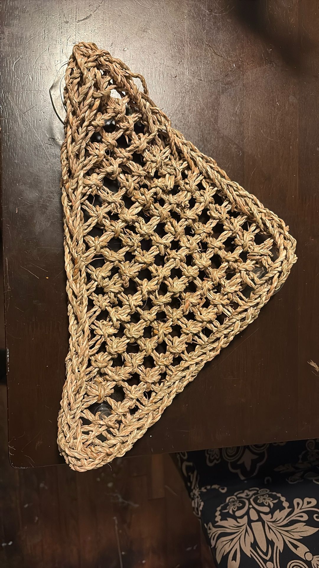 Reptile Hammock
