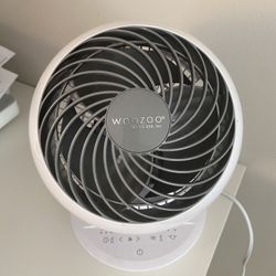 Fan
