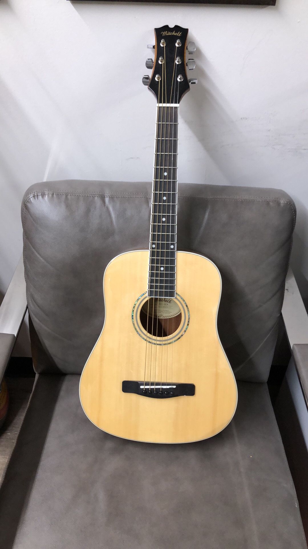 Mitchell Guitar almost brand New