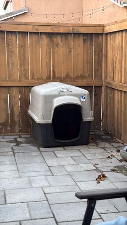 Dog house