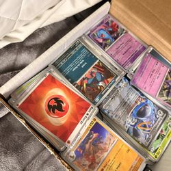 Pokemon Bulk Box 