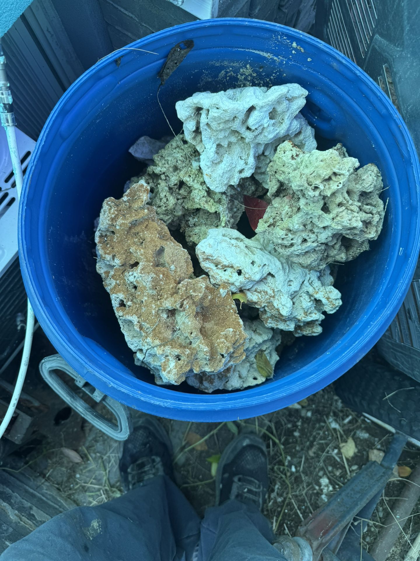 Live Rock, Live Sand And To Filter $60 OBO