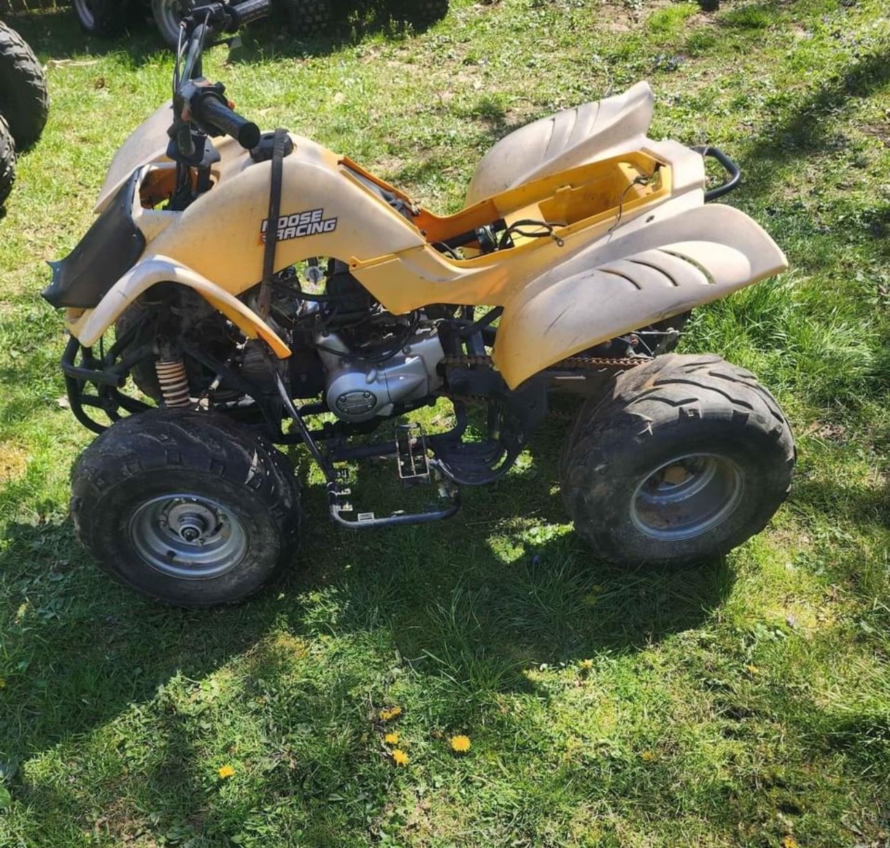 Kuzuma Falcon 110