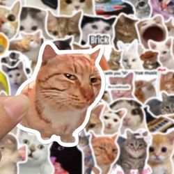 50pc Cat Meme Stickers