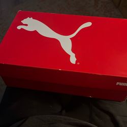 Puma  Sneaker Shoes (new) 