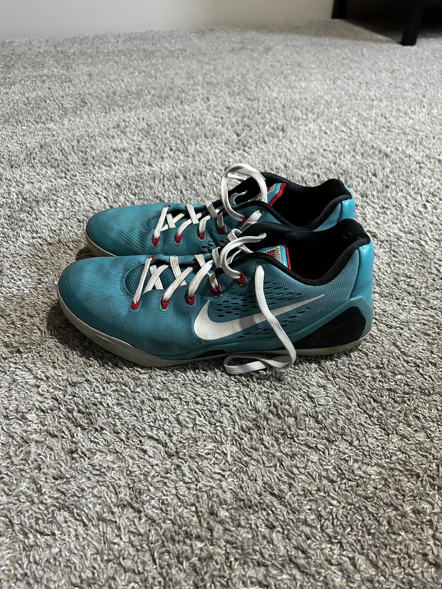 Kobe Dusty Cactus