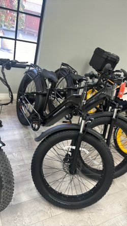 Fat tire Ebike 600 out the door