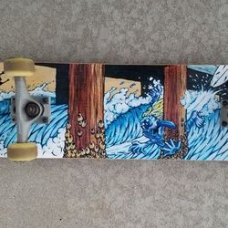 rare KRYPTONICS Custom Series skateboard 