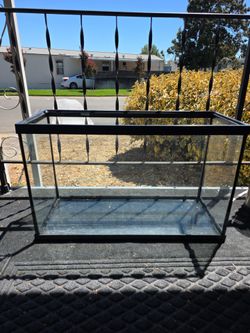 Glass Aquarium Tank with Black Frame