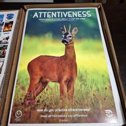 BRAND NEW Set Of 80 Quality Character Posters Laser Printed On Card Stock Teaching Children & Adults 17.5" X 11.5" For Schools, Churches, Home, Office