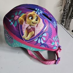 Paw Patrol Skye Helmet