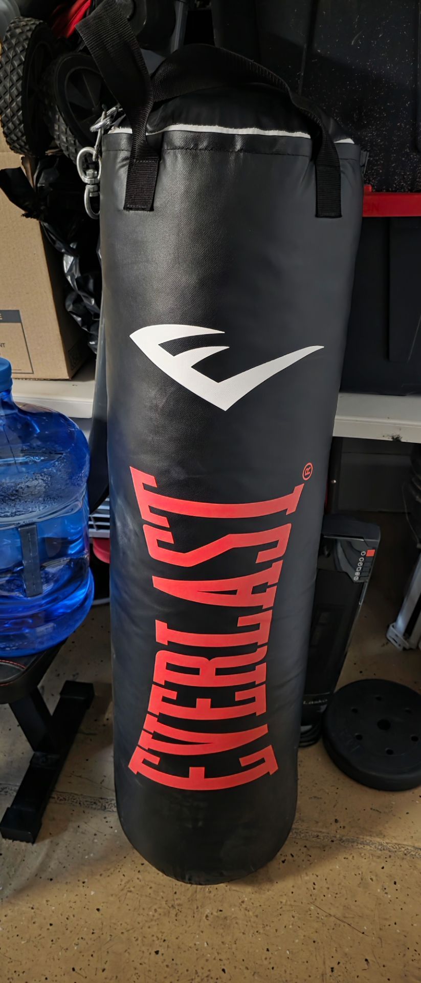 Everlast Punching Bag