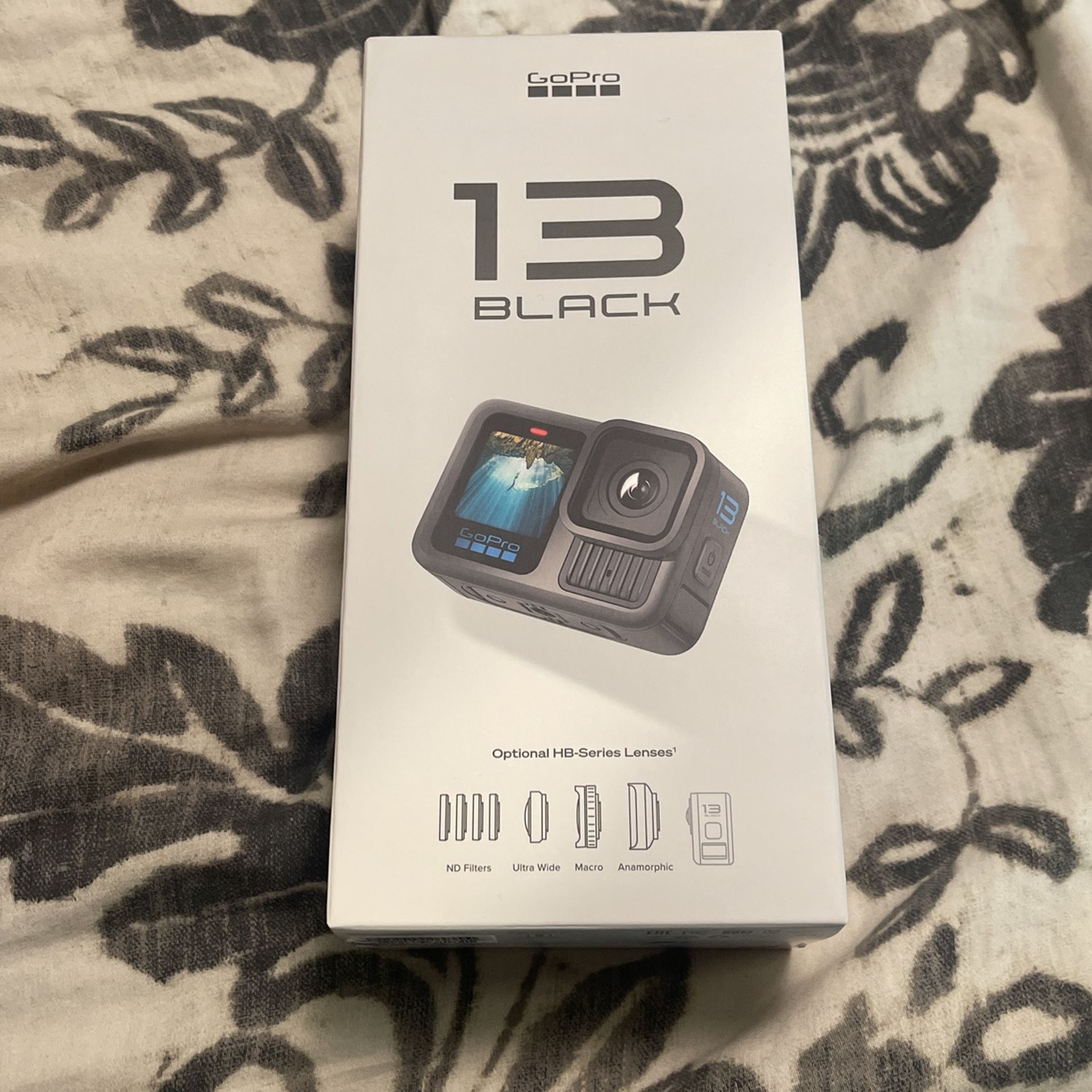 GoPro 13