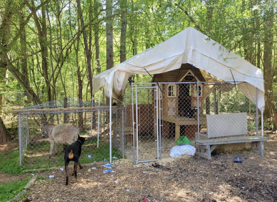 Kennels, Goat House