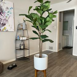 Floor Plant With Stand And Ceramic Pot